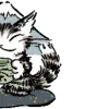 💿 Эмодзи «Котик Даян» для Telegram