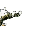 💿 Эмодзи «Котик Даян» для Telegram