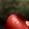 🍎 Эмодзи «🤔 Death Note - аниме тетрадь смерти» для Telegram