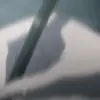 🤬 Эмодзи «Death note - тетрадь смерти» для Telegram