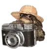 🐸 Эмодзи «Украшения ૮ა» для Telegram