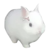 🍮 Эмодзи «Украшения ૮ა» для Telegram