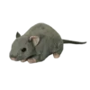🐀 Эмодзи «Demonic Plushies» для Telegram