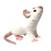 🐁 Эмодзи «Demonic Plushies» для Telegram