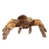 🕷 Эмодзи «Demonic Plushies» для Telegram