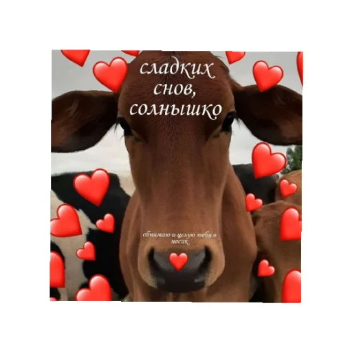 😴 Стикер «День/ ночь» для Telegram