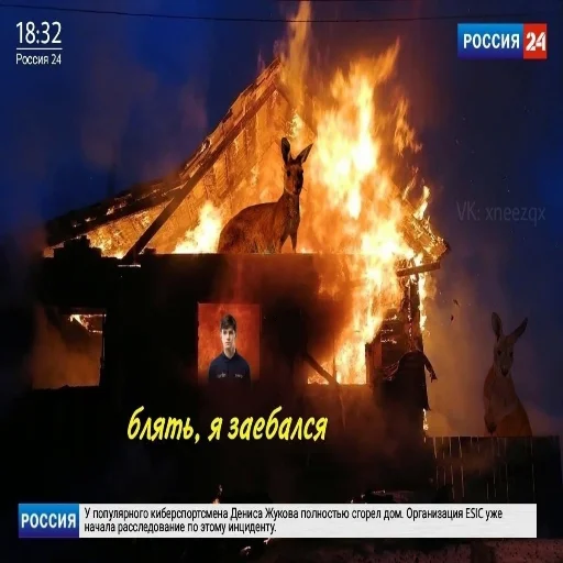 😞 Стикер «Деко» для Telegram