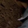 😱 Эмодзи «Набор эмоджи по сериалу «Dexter Декстер»» для Telegram