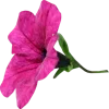 🌺 Эмодзи «Shine Bright Like» для Telegram
