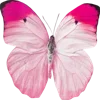 🦋 Эмодзи «Shine Bright Like» для Telegram