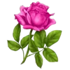 🌺 Эмодзи «Shine Bright Like» для Telegram