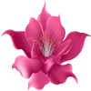🌺 Эмодзи «Shine Bright Like» для Telegram