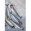 😈 Эмодзи «Дима Масленников» для Telegram