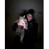 😂 Эмодзи «Дима Масленников» для Telegram
