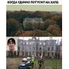 😎 Эмодзи «Дима Масленников» для Telegram