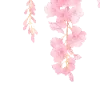🐾 Эмодзи «Ɗʝσηα» для Telegram