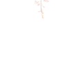 🐾 Эмодзи «Ɗʝσηα» для Telegram