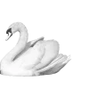 🦢 Эмодзи «Dividers» для Telegram