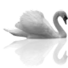 🦢 Эмодзи «Dividers» для Telegram