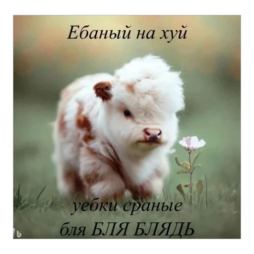 🫥 Стикер «Добрый день» для Telegram