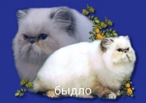 🌟 Стикер «Добрый день» для Telegram