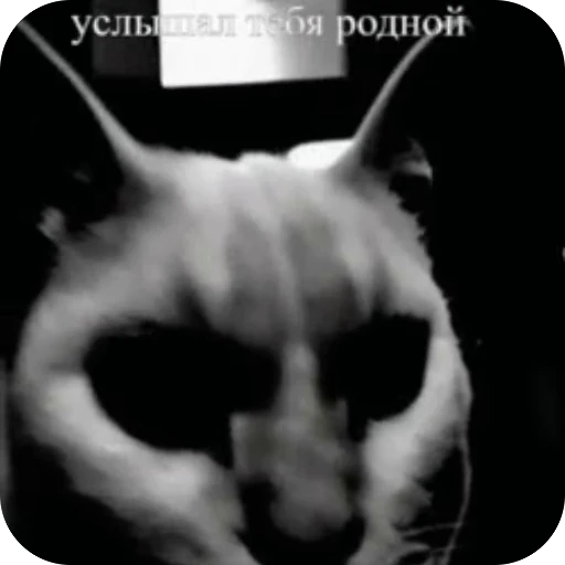 🫥 Стикер «Добрый день» для Telegram