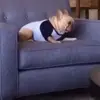 🤪 Эмодзи «Собачки X» для Telegram