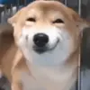 🙂 Эмодзи «Собачки X» для Telegram