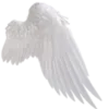 🤍 Эмодзи «𓊈Dollcore𓊉 𝒷𝓎» для Telegram