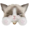 🤍 Эмодзи «𓊈Dollcore𓊉 𝒷𝓎» для Telegram