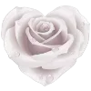 🌹 Эмодзи «𓊈Dollcore𓊉 𝒷𝓎» для Telegram