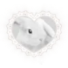 🐰 Эмодзи «𓊈Dollcore𓊉 𝒷𝓎» для Telegram