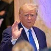 👋 Эмодзи «Donald Trump» для Telegram