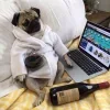 🤩 Эмодзи «🤩 Мемные собакены - пак собачек» для Telegram