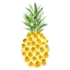 🍍 Эмодзи «Drawings» для Telegram