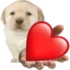 ❤️ Эмодзи «Дружочки Из Коробки» для Telegram