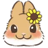 🌻 Эмодзи «Dwarf Bunny» для Telegram