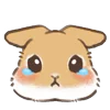🥺 Эмодзи «Dwarf Bunny» для Telegram