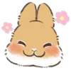☺️ Эмодзи «Dwarf Bunny» для Telegram