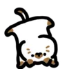 🐈 Эмодзи «() Dynamic Cats» для Telegram