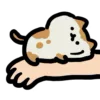 🐈 Эмодзи «() Dynamic Cats» для Telegram