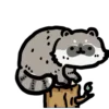 🦝 Эмодзи «() Dynamic Cats» для Telegram