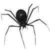 😀 Эмодзи «Black &amp; White #color #black #white» для Telegram