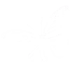 🦋 Эмодзи «Black &amp; White #color #black #white» для Telegram