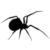 🕷 Эмодзи «Black &amp; White #color #black #white» для Telegram