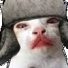 😻 Эмодзи «👹 Escape from Tarkov Emoji» для Telegram