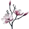 🤍 Эмодзи «Elegance» для Telegram