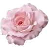 🤍 Эмодзи «Elegance» для Telegram