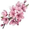 🤍 Эмодзи «Elegance» для Telegram