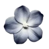 🤍 Эмодзи «Elegance» для Telegram